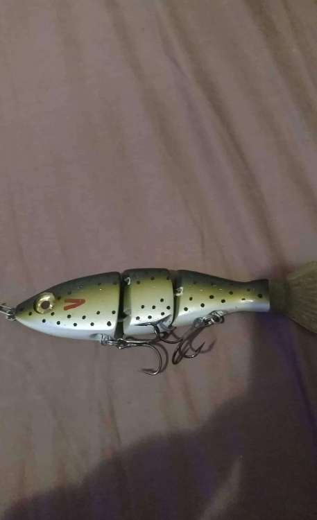 received_462304990966484.jpeg