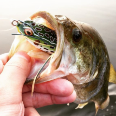 FINESSE WIDE GAP medium guage lazer sharp weedless hooks (Bass Fishing –  Cali Bass Baits