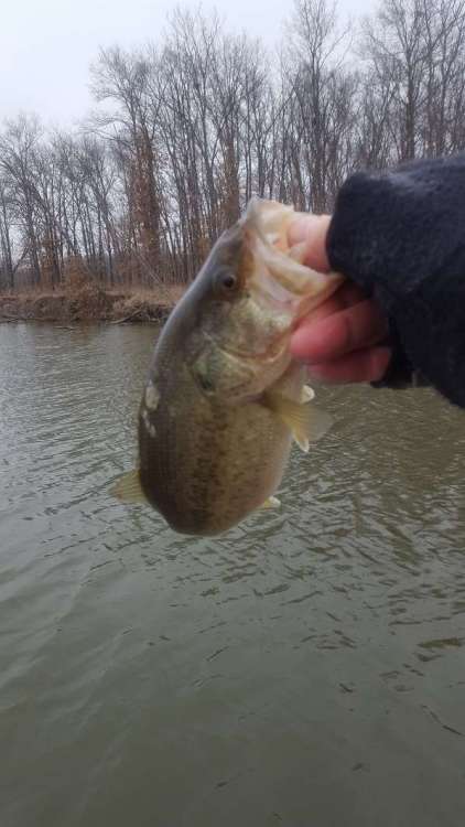 20190308_120736.thumb.jpg.1c2f8a5f7380431a78338f62c1d7c164.jpg