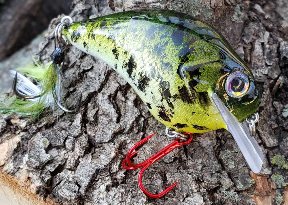 20190327_174134.jpg