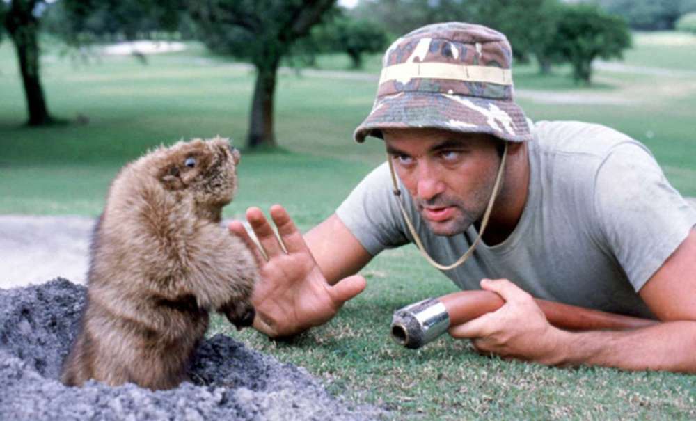 caddyshack-bill-murrayjpg.thumb.jpg.30b1fcfdd2cf5190485603cc71688e3a.jpg