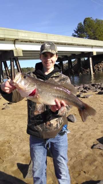 fish.JPG.41719165cb081df40baea4a1e9e122c9.JPG