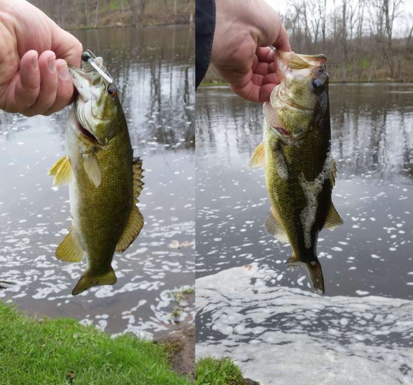 190423_riverbank.thumb.jpg.f8aedb2bf8b49c4710f406d700808d9e.jpg