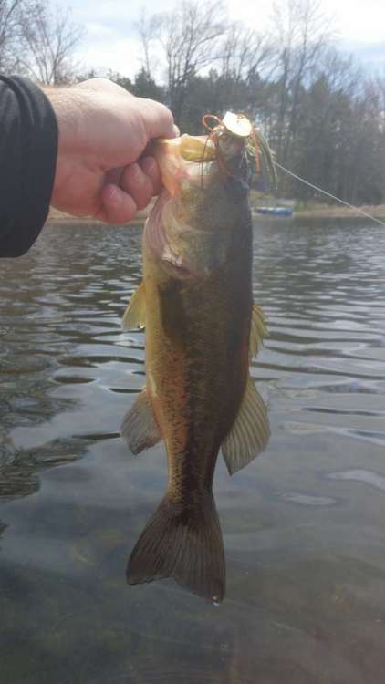 190424_JackhammerBass.thumb.jpg.8a8c2f950a7f0f5eef2a84b29a8b7cbd.jpg