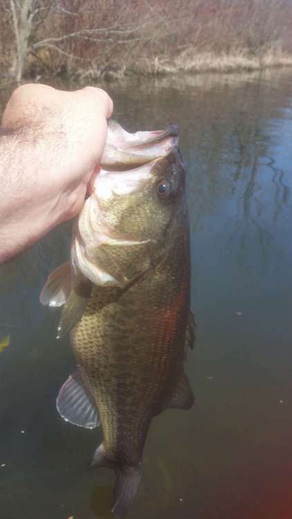 190425_chunk.thumb.jpg.ec7951ea0ea6472d191b726ca8753df5.jpg