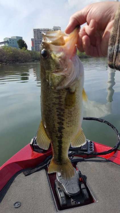 20190425_095002.thumb.jpg.e01edb12b475fe7ef3a465aa27422b7a.jpg