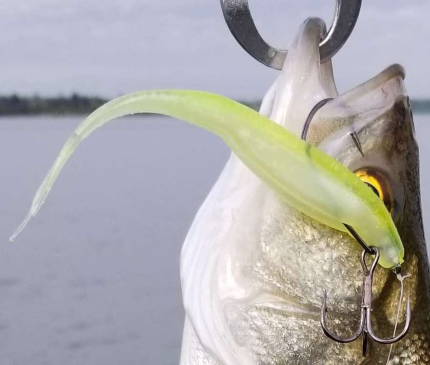 20190426_220430.jpg