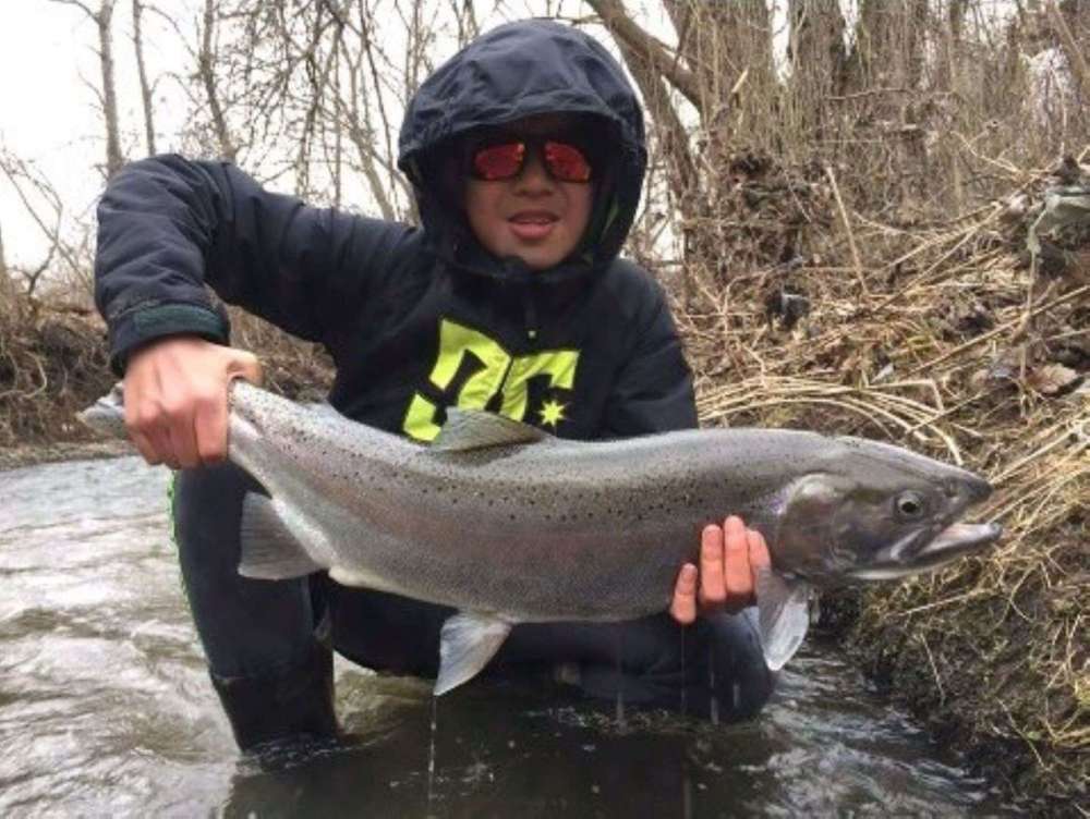 steelhead hen (1.jpg