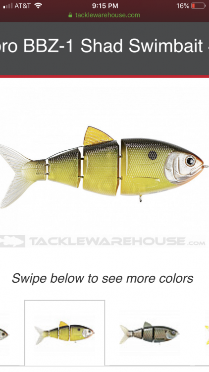 97062A05-71EE-4BB2-984B-525601F3470D.png