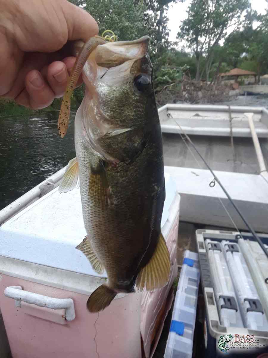 20190414_174853-966x1288.jpg