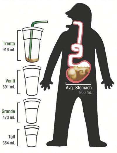 starbucks.jpg.7d1dd633ae09fca4da086784faa79a59.jpg