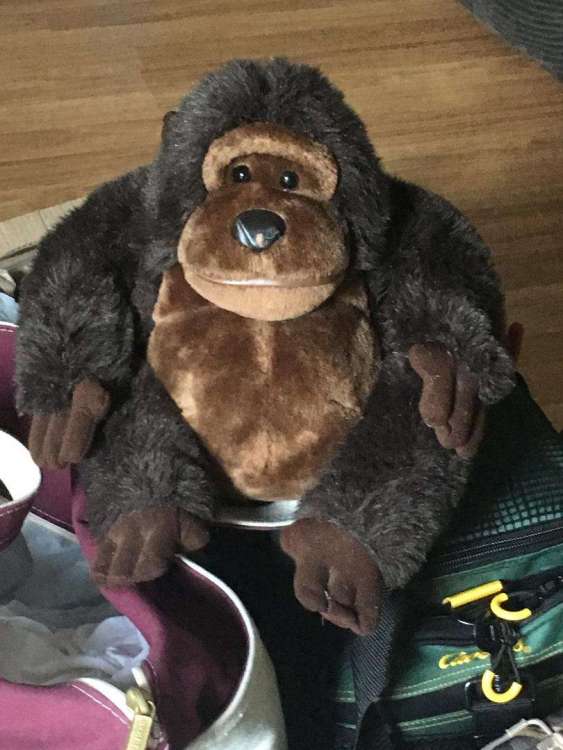 1282300662_rodmonkey.thumb.jpeg.5d2287b7c35d7981a41c287eaf410884.jpeg