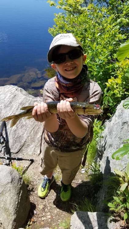20190527_112005-1134x2016.thumb.jpg.c313933729c8628ac301b971ea0690b7.jpg
