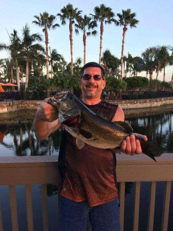 LARGE BASS PIER PALM TREE'S.jpg