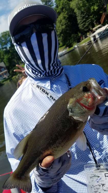 20190609_162130-1507x2679.thumb.jpg.9052e24941a995d74a825a05729dfd16.jpg