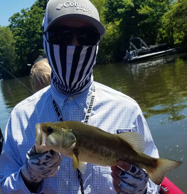 20190609_162357-1666x1730.thumb.jpg.79fa4182b49ad0e4ac0df96670aac0c7.jpg