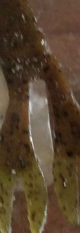 20190620_192417.thumb.jpg.5c5eae9ca182f4a42c192edefb3ab457.jpg