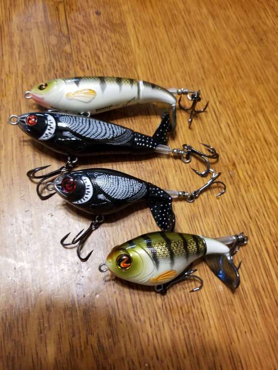 Resized_20190612_133430.jpeg