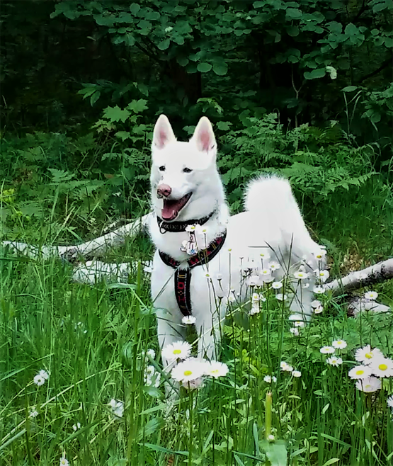 1237939689_BreeZoJuly2019BR.png.0bb4fe14047b7eb07d60e11932c9992d.png