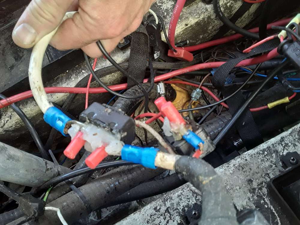 15632346312062480197356105342878.jpg