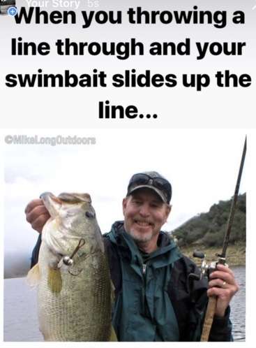 B3210A1E-2556-4BB2-8903-F4FB4DEE8B4F.jpeg.1f72cf6046e8eaf1d87abafefd4e42b1.jpeg
