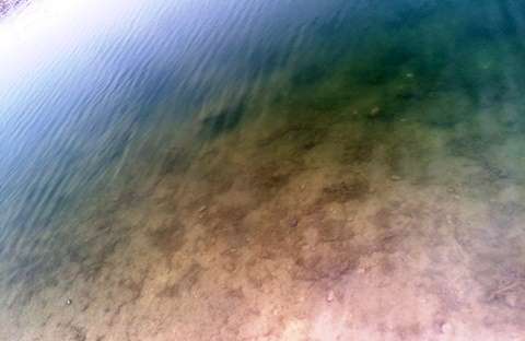 IMG_1630.jpg.e26ce3bd9a15bbf640a924e82a3fe185.jpg