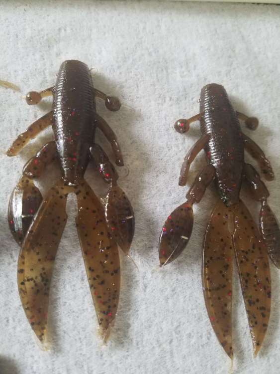 craw.jpg