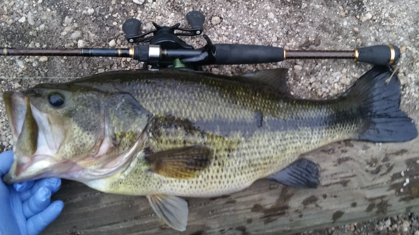 2 Piece Casting Rod Recommendation - Fishing Rods, Reels, Line, and Knots -  Bass Fishing Forums