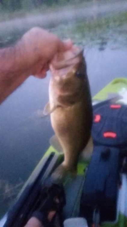 190805_deuce.thumb.jpg.d8bfbb334a3f8a01810afe24aad6367d.jpg