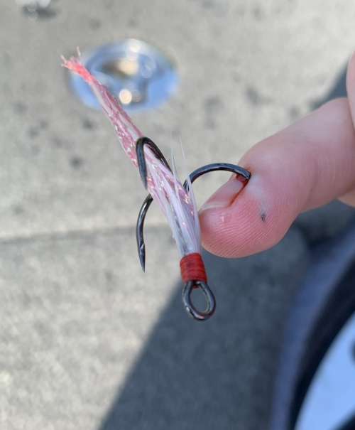 Treble hook removal ? - General Bass Fishing Forum - Bass Fishing Forums