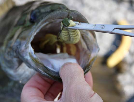 595398197_05Aug2019Gagedsmbbaits2BR.jpg.fa27922d235ecfbbd723fcaeff8d7714.jpg