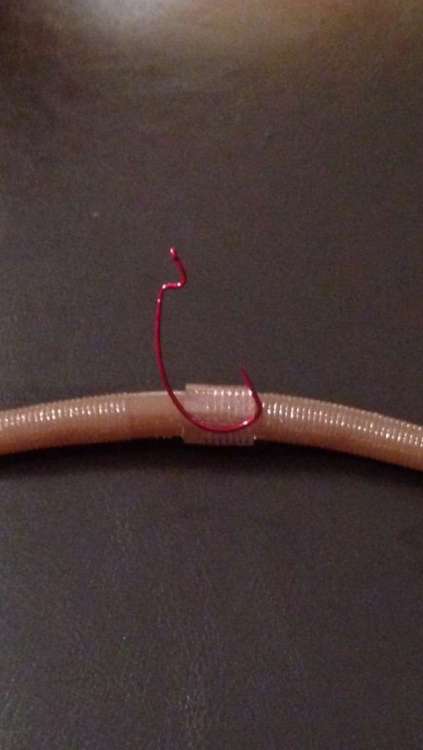 9653F1A5-E7F9-4EEF-85B0-D20920849A08.thumb.jpeg.593df5ade53e08c0198b2919c9e80ab3.jpeg
