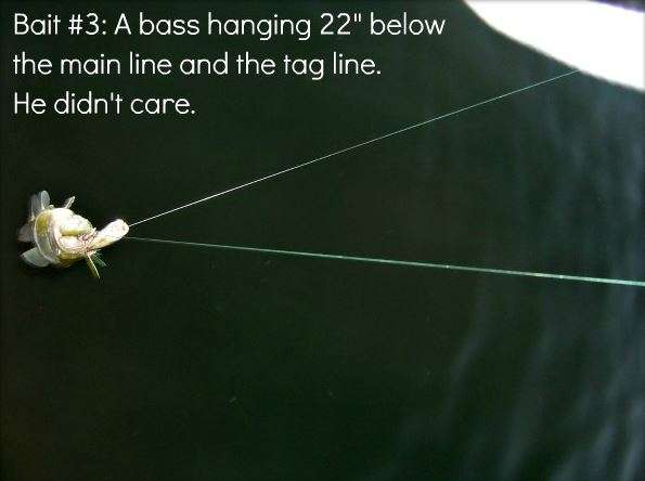 Tag3.JPG.5b4e29785058b2e30c3ce4aaa9815513.JPG