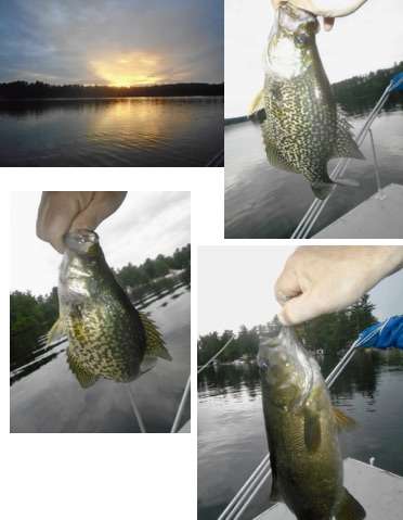 fish.jpg.65afc458e0f8e48570e4c38e3818de35.jpg