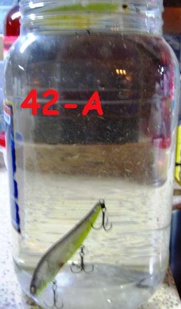 42A.JPG.21eb52c56b1841a9b591380ecba39cc2.JPG
