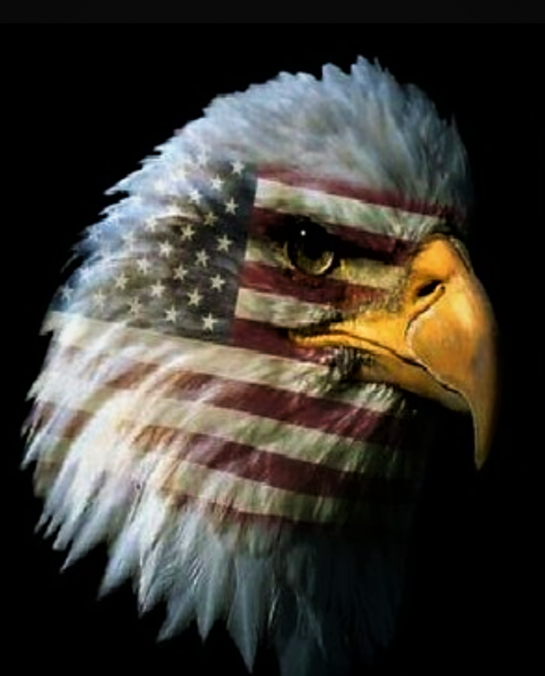 736020192_911pic2(2).thumb.png.d0ea4619b340c88e7828b03bf7ed77af.png