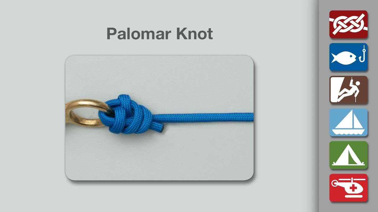 Palomar Knot Loop - Above, Over, or Below? - Fishing Rods, Reels