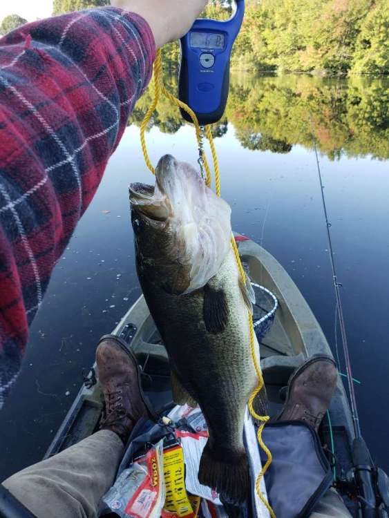 pbw1.jpg