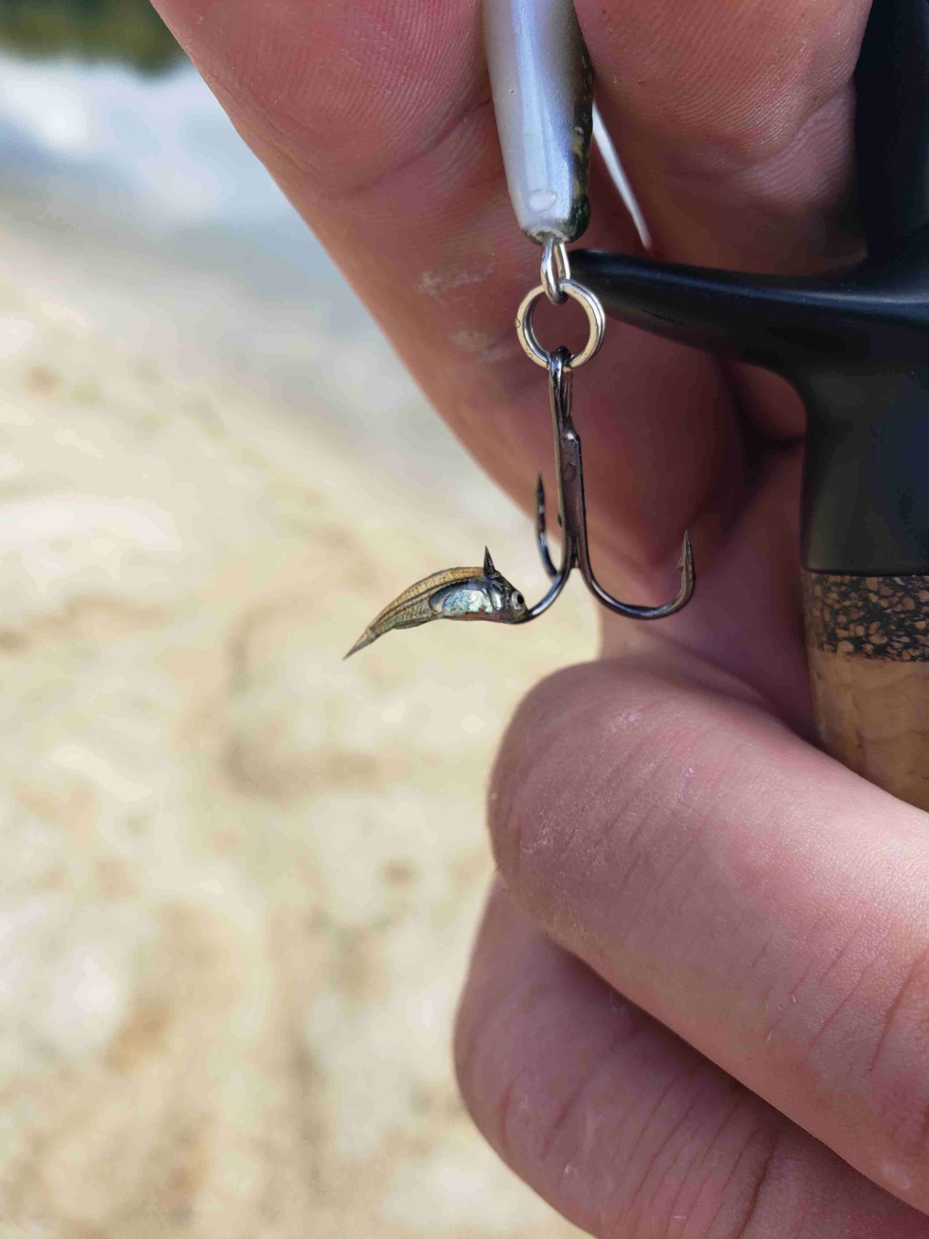 Are VMC hooks sharp? - Fishing Tackle - Bass Fishing Forums
