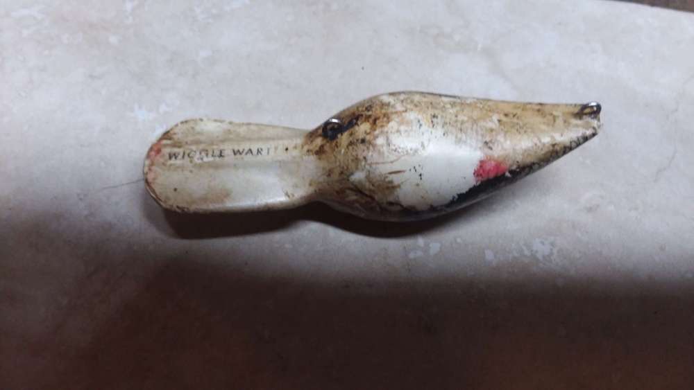 20191005_102614.jpg