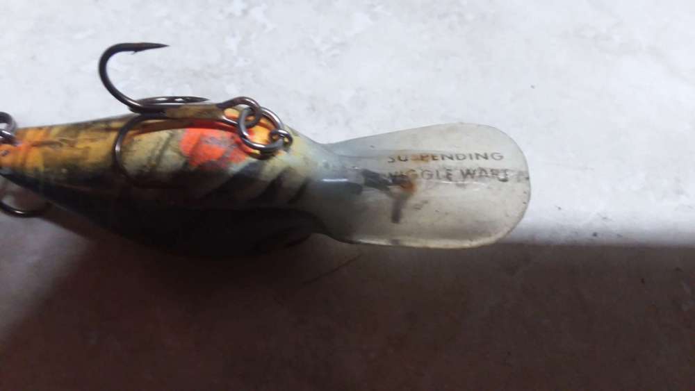 20191005_103359.jpg