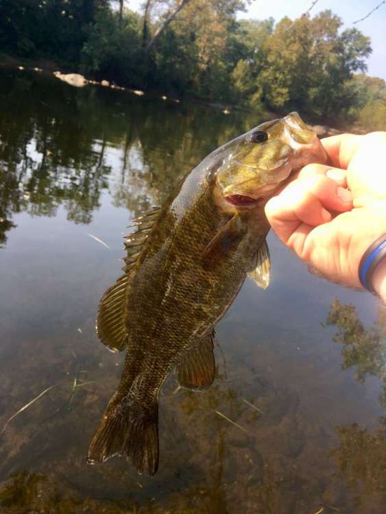 james14incher.jpg