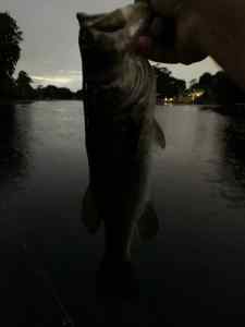 E95763D5-5075-4907-9087-A83AFCF7F9B7.jpeg
