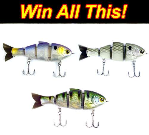 win-this-bullshad.jpg