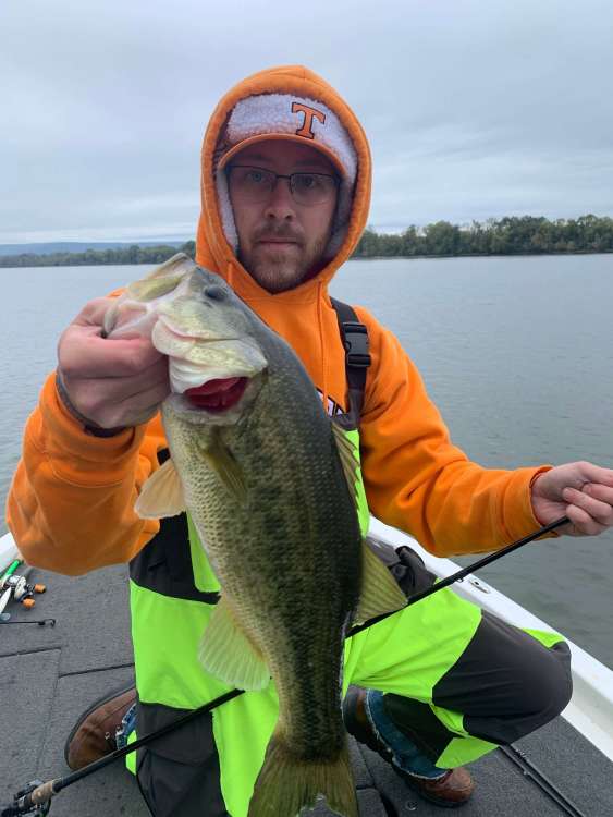chik chatterbait fish.jpg