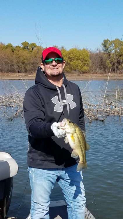 11-9-19 fish 2.jpg