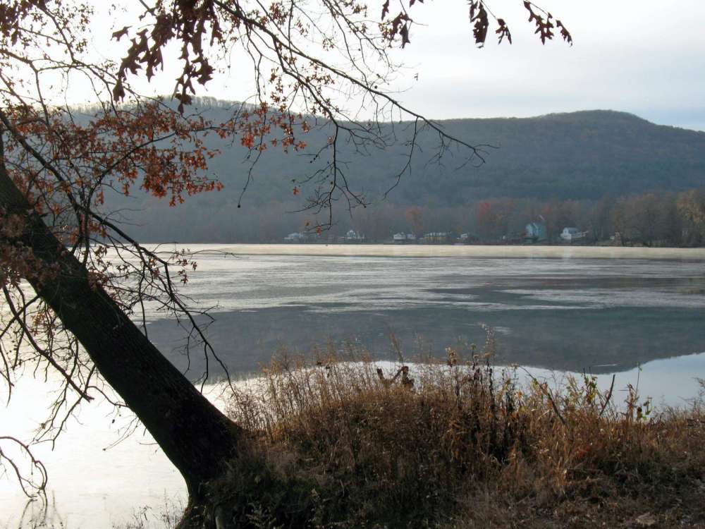 Scene_2.jpg