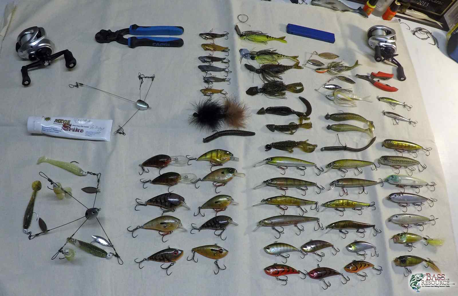 2019_most_productive_baits_cropped_clean.jpg
