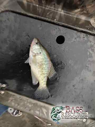 IMG_20191122_082625_01.jpg