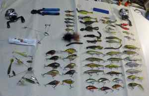 2019 ~ Most Productive Baits